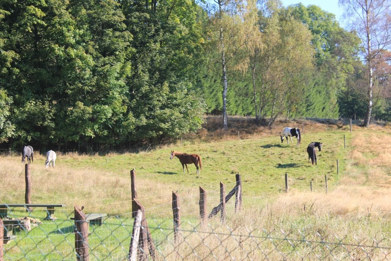 Фермерские дома Słoneczna Zagroda - Sunny Ridge Farm Łączna-29